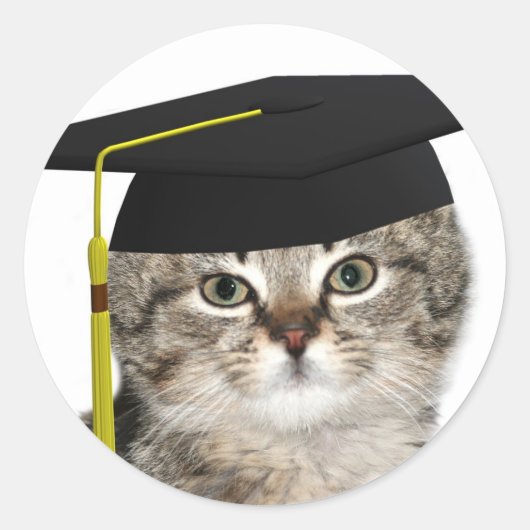Kitten afgestudeerden ronde sticker (Voorkant)