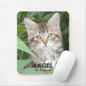 KITTEN = ANGEL, (in debat) Muismat (Met muis)