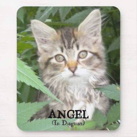 KITTEN = ANGEL, (in debat) Muismat (Voorkant)