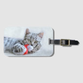 Kitten Bagagelabel (Voorkant (horizontaal))