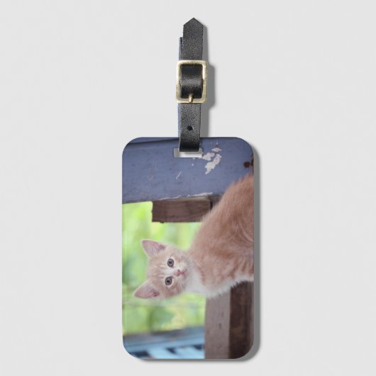 Kitten Bagagelabel (Voorkant (verticaal))