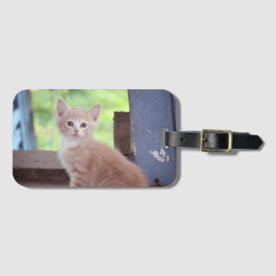 Kitten Bagagelabel