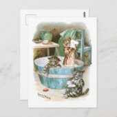 Kitten Bath van Louis Wain Briefkaart (Voorkant / Achterkant)