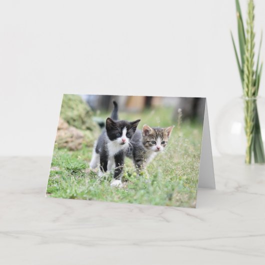Kitten Bedankkaart (Voorkant)