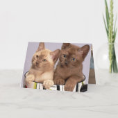 Kitten Bedankkaart (Achterkant)