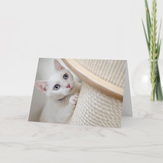 Kitten Bedankkaart (Voorkant)