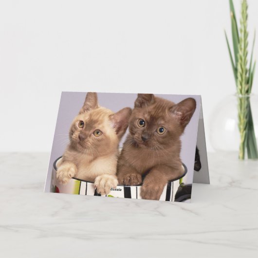 Kitten Bedankkaart (Achterkant)