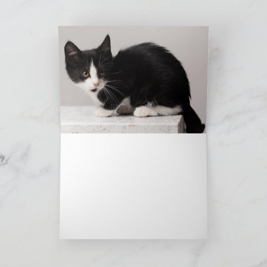 Kitten Bedankkaart (Binnen)