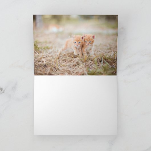 Kitten Bedankkaart (Binnen)