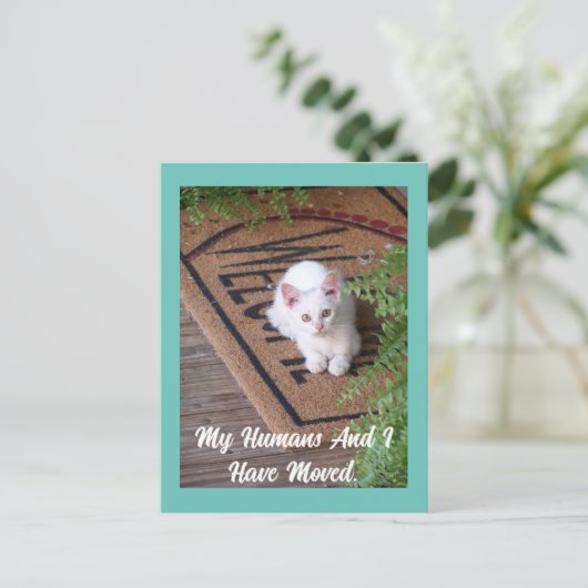 Kitten bewegend Briefkaart (Staand voorkant)