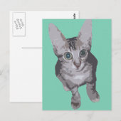 Kitten Big Eyes Pop Art Briefkaart (Voorkant / Achterkant)