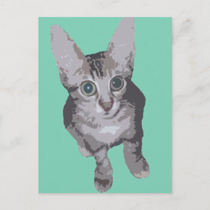 Kitten Big Eyes Pop Art Briefkaart