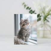 Kitten bij het raam feestdagenkaart (Staand voorkant)