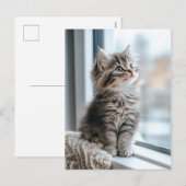 Kitten bij het raam feestdagenkaart (Voorkant / Achterkant)