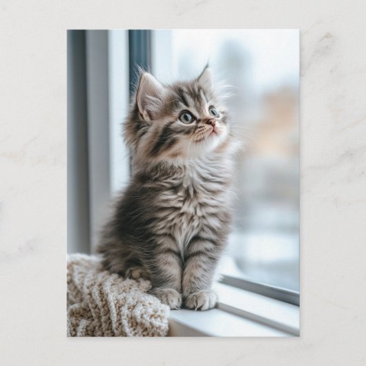 Kitten bij het raam feestdagenkaart (Voorkant)