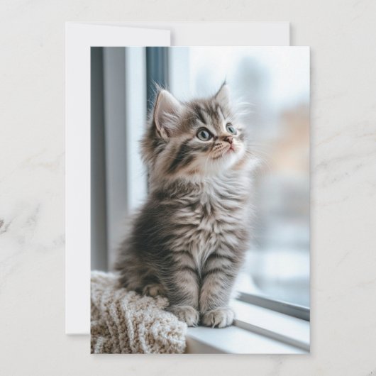 Kitten bij het raam Plat Feestdagenkaart (Voorkant)