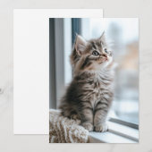 Kitten bij het raam Plat Feestdagenkaart (Voorkant / Achterkant)