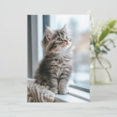 Kitten bij het raam Plat Feestdagenkaart (Staand voorkant)