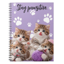 Kitten Blijf Positief Notitieboek