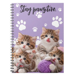 Kitten Blijf Positief Notitieboek