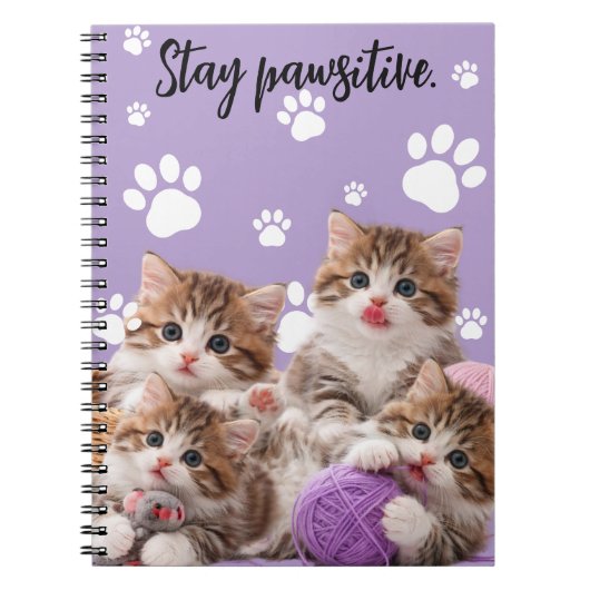 Kitten Blijf Positief Notitieboek (Voorkant)
