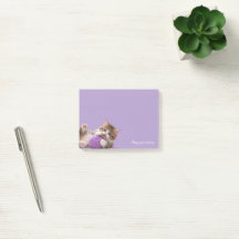Kitten Blijf Positief Plaknotities
