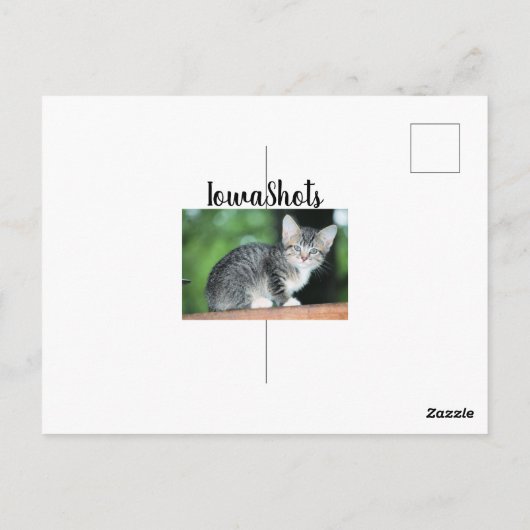 Kitten Briefkaart (Achterkant)