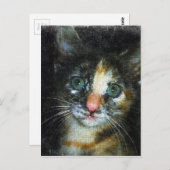 Kitten Briefkaart (Voorkant / Achterkant)