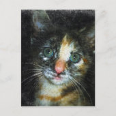 Kitten Briefkaart (Voorkant)