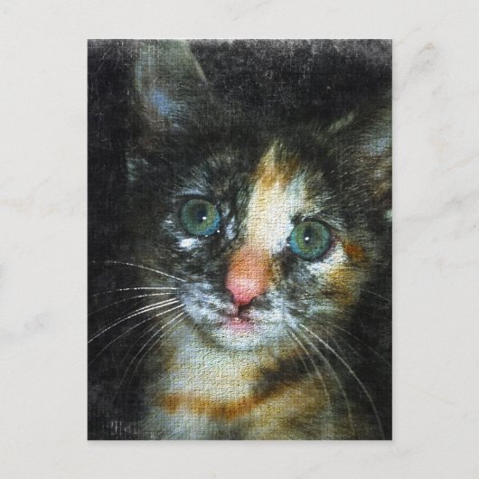 Kitten Briefkaart (Voorkant)