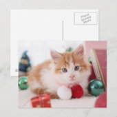 Kitten Briefkaart (Voorkant / Achterkant)