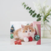 Kitten Briefkaart (Staand voorkant)