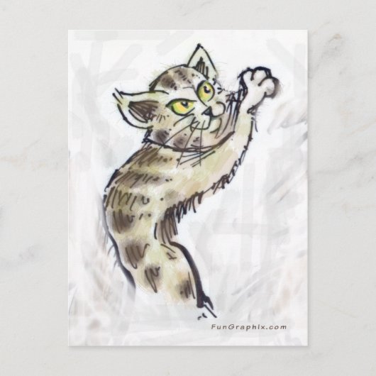 Kitten Briefkaart (Voorkant)