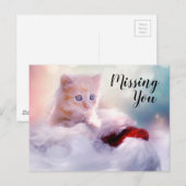 Kitten Briefkaart (Voorkant / Achterkant)