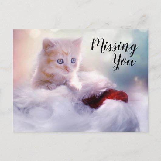 Kitten Briefkaart (Voorkant)