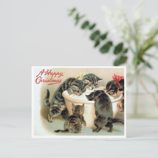  kitten Briefkaart - Schattigee kerstkatten (Staand voorkant)