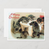 kitten Briefkaart - Schattigee kerstkatten (Voorkant / Achterkant)
