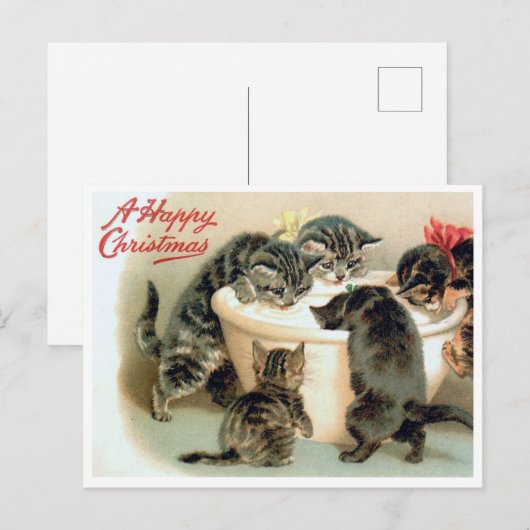  kitten Briefkaart - Schattigee kerstkatten (Voorkant / Achterkant)