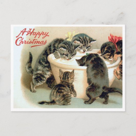 kitten Briefkaart - Schattigee kerstkatten (Voorkant)