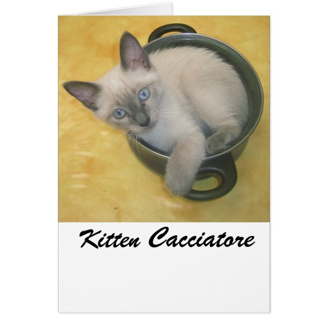 Kitten Cacciatore (Voorkant)