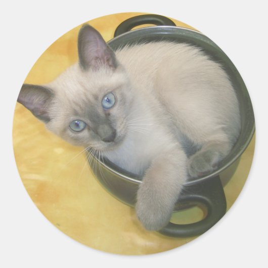 Kitten Cacciatore Ronde Sticker (Voorkant)