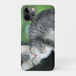 Kitten Case-Mate iPhone Case
