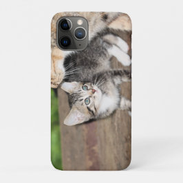 Kitten Case-Mate iPhone Case