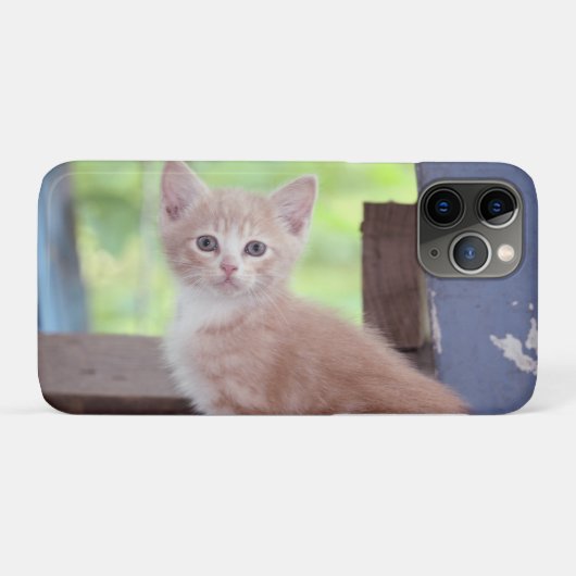 Kitten Case-Mate iPhone Case (Achterkant (horizontaal))