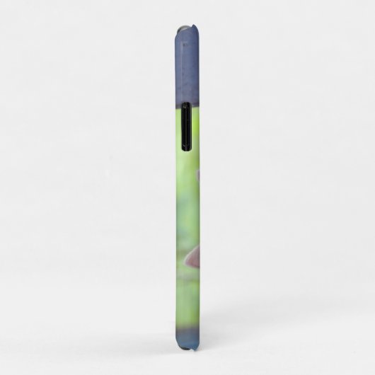 Kitten Case-Mate iPhone Case (Achterkant/rechts)