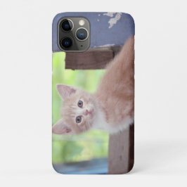 Kitten Case-Mate iPhone Case