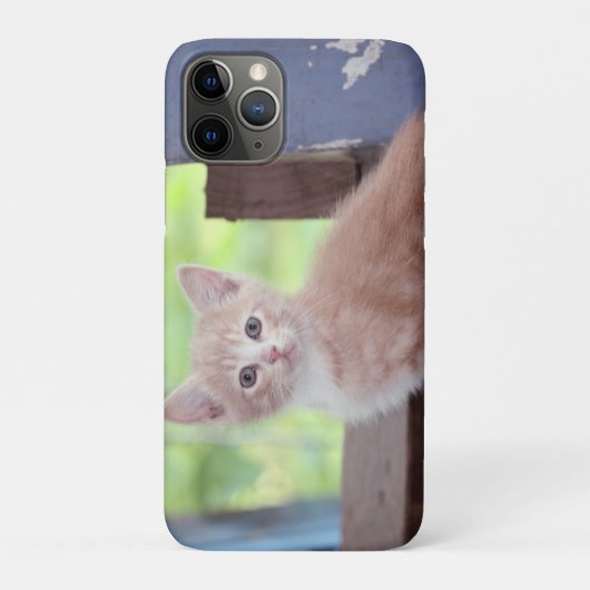 Kitten Case-Mate iPhone Case (Achterkant)