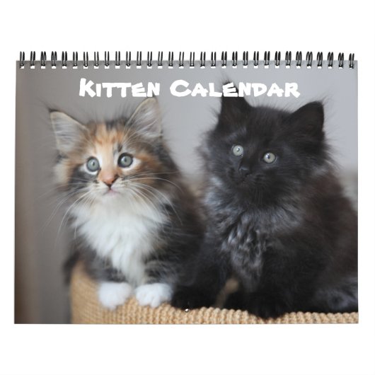 Kitten Cat Cats Baby Cub Home Destiny's Kalender (Hoes)
