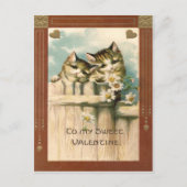 Kitten Cat Daisy Daisies Fence Briefkaart (Voorkant)