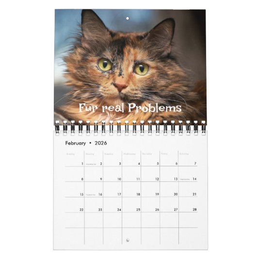 Kitten Cat Lover Photo Collage & Funny Cat Jokes Kalender (Feb 2026)